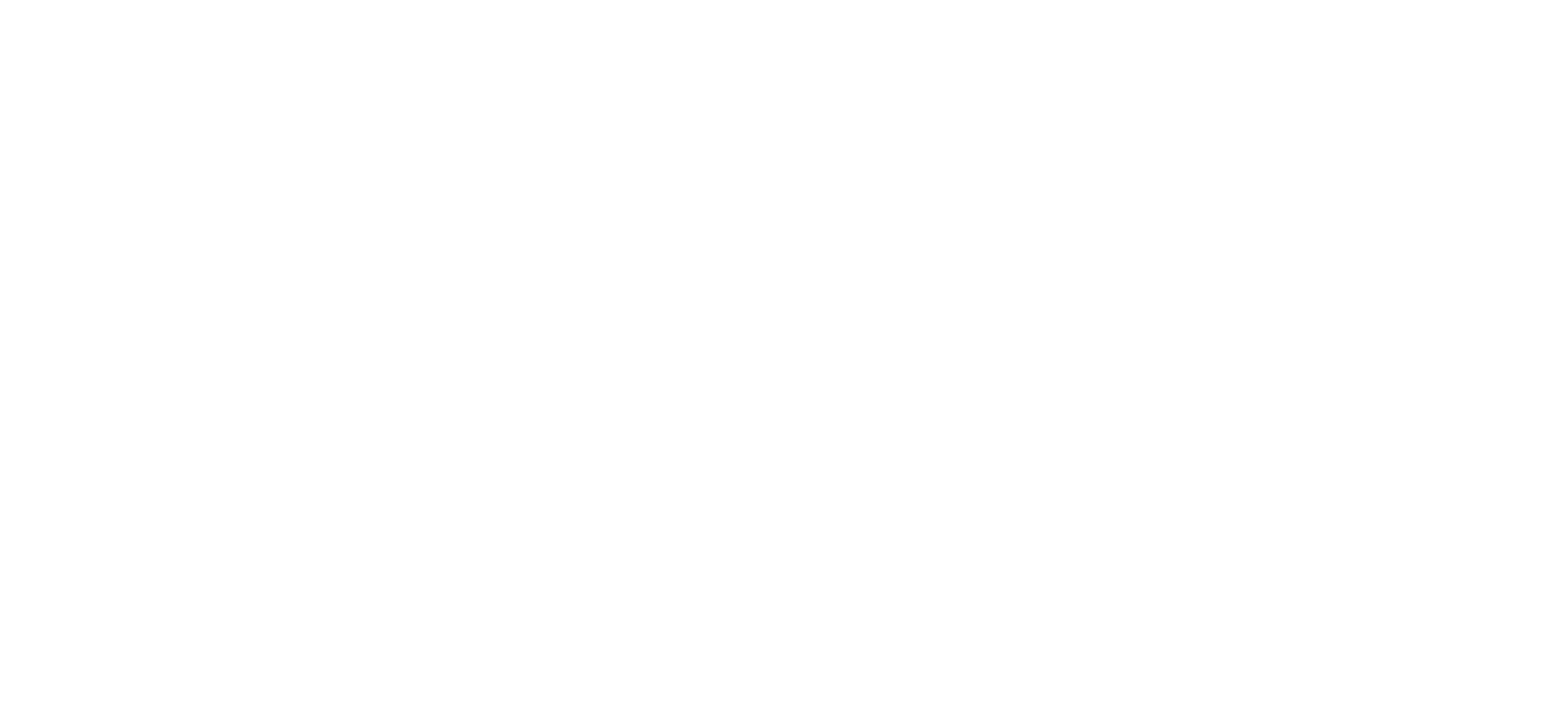 Viajes del Sur